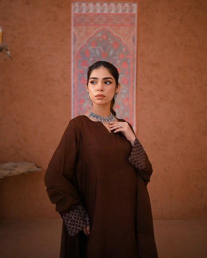 A woman wearing a brown rawsilk dress which includes a shirt and a chiffon dupatta. The dress is embellished with stone details.